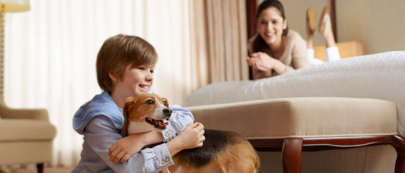 Pet Friendly Hotel in Burlington, VT | Sheraton Burlington Hotel